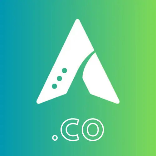 .CO Domain